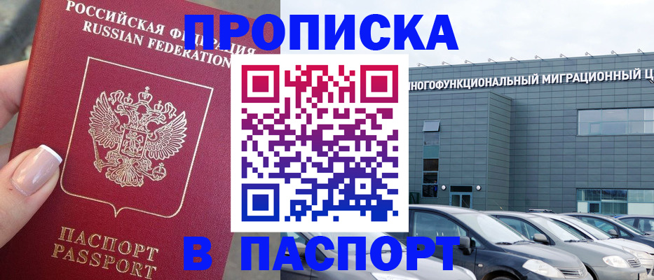 прописка для школы в Невеле